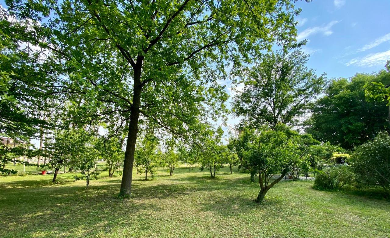 Locanda Del Molino Vecchio Magliano Alfieri Εξωτερικό φωτογραφία